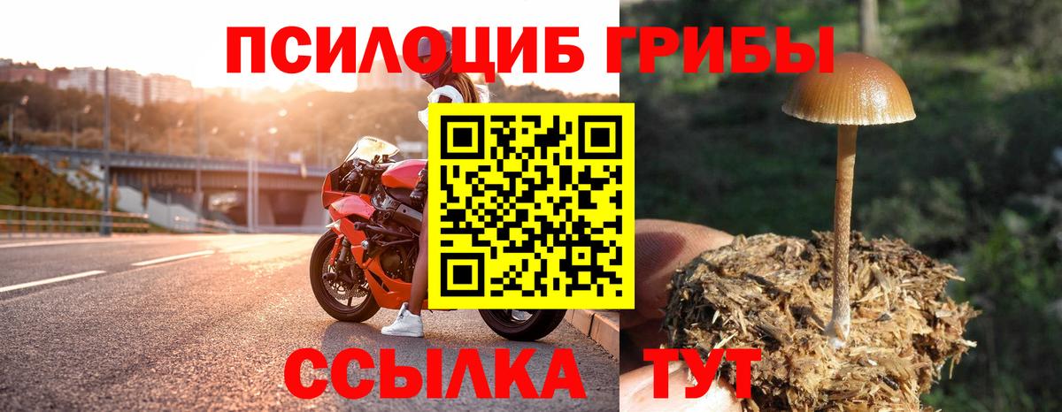Галлюциногенные грибы мухоморы Апшеронск